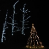 Light up a Life forest of lights